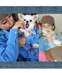 愛犬ゆめと❤ | その他