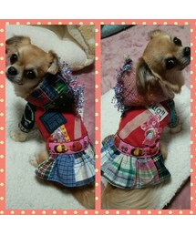 かわいこわんちゃんお客様着画❤ | ワンピース