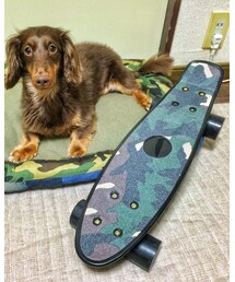 Penny | スポーツグッズ