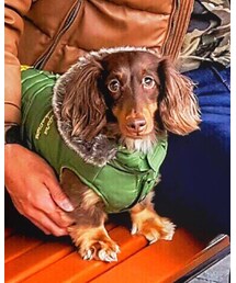 愛犬 小次朗 | その他