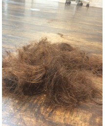 もじゃもじゃ | その他