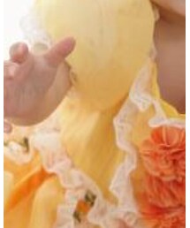 スタジオアリス | ワンピース