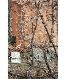 韓国服 | ミリタリージャケット