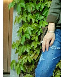 JIMMY CHOO | ショルダーバッグ