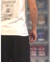 STUSSY | Tシャツ/カットソー