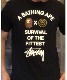 A BATHING APE | Tシャツ/カットソー