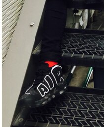 UNIQLO | ソックス/靴下