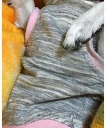 古着 | Tシャツ/カットソー