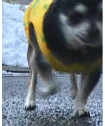 古着 | トップス