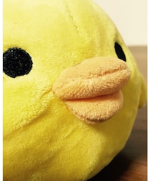 🐣ぬ〜ん💋 | その他