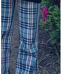 BURBERRY | スラックス