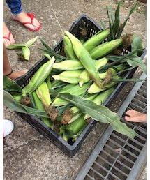 おすそわけ♡ | その他