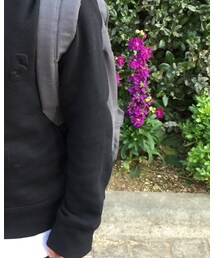 S&H | スウェット