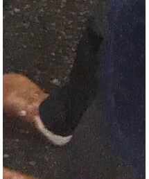 UNITED ARROWS | スラックス