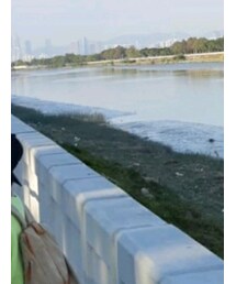 NEW ERA | キャップ