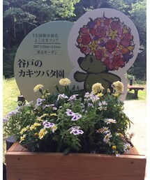 谷戸のカキツバタ園 | その他