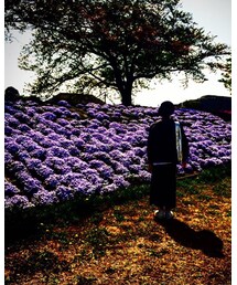 別ショット その1 | その他