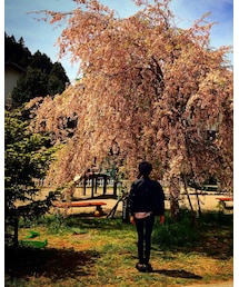 別ショット その1 | その他