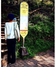 ヤビツ峠 | その他