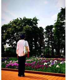県立相模原公園 | その他
