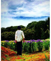 飯山あやめの里 | その他