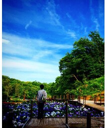 二宮せせらぎ公園 | その他