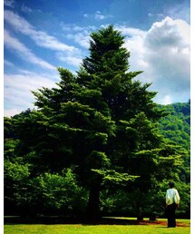 県立あいかわ公園 その1 | その他