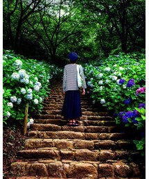 別ショット その1 | その他