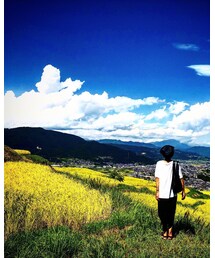 姨捨の棚田 その2 | その他