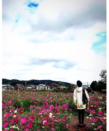 別ショット その1 | その他