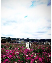 別ショット その2 | その他