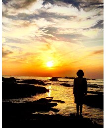 城ヶ島 | その他