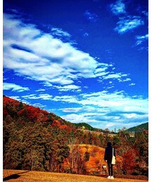 別ショット その1 | その他