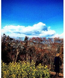 別ショット その1 | その他