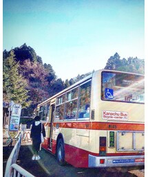 宮ヶ瀬停留所 | その他