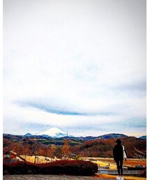 中井中央公園 その1 | その他