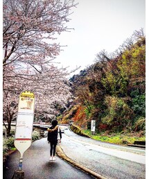 津久井湖観光センター前停留所 | その他