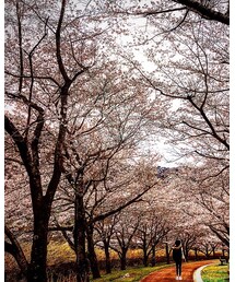 県立あいかわ公園 | その他