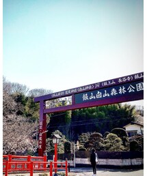 飯山白山森林公園 | その他