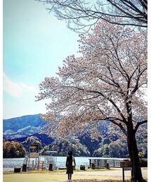 県立相模湖公園 | その他