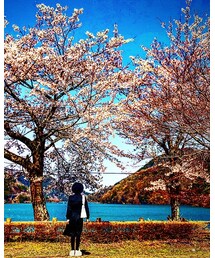 宮ヶ瀬湖畔園地 | その他