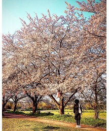 厚木野球場 | その他