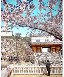 舞鶴城公園 | その他