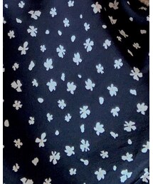 Honeys | スカート