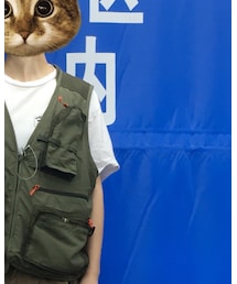 STUSSY | Tシャツ/カットソー