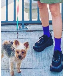 HOKA | スニーカー