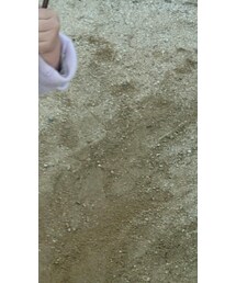 codycoby | その他パンツ