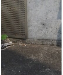 Dr. Martens | シューズ