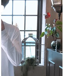 Champion | トップス