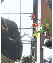 Columbia | ジャケット/アウター